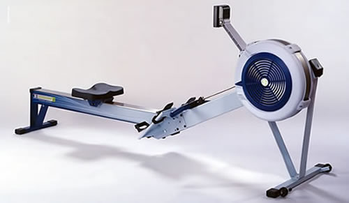 Model D1